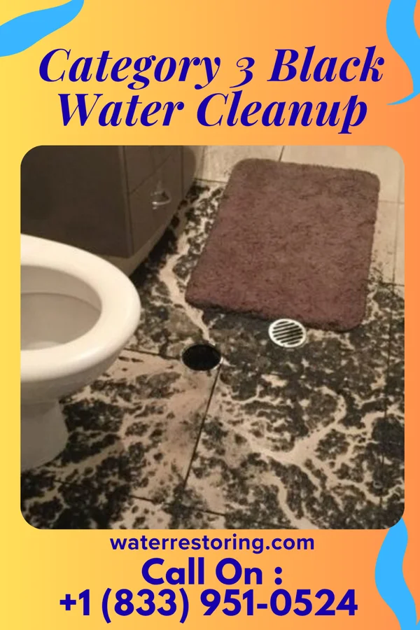 Category 3 Black Water Cleanup in Lisbon, OH