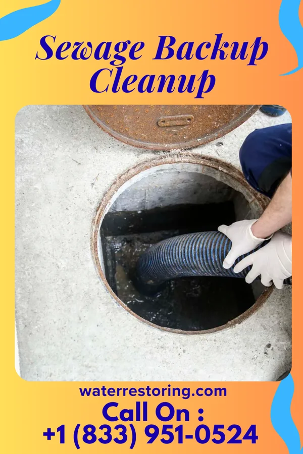 Sewage Backup Cleanup in Lisbon, OH