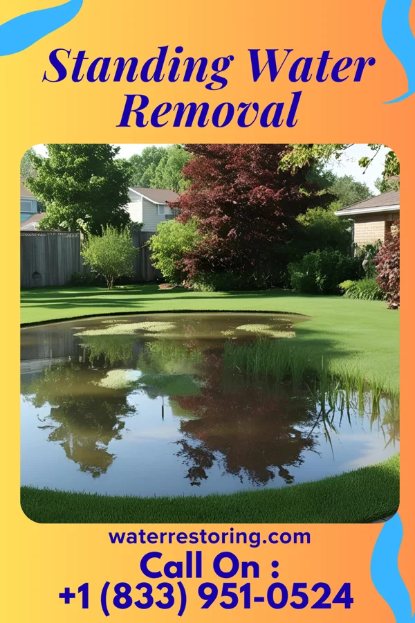 Standing Water Removal in Lisbon, OH